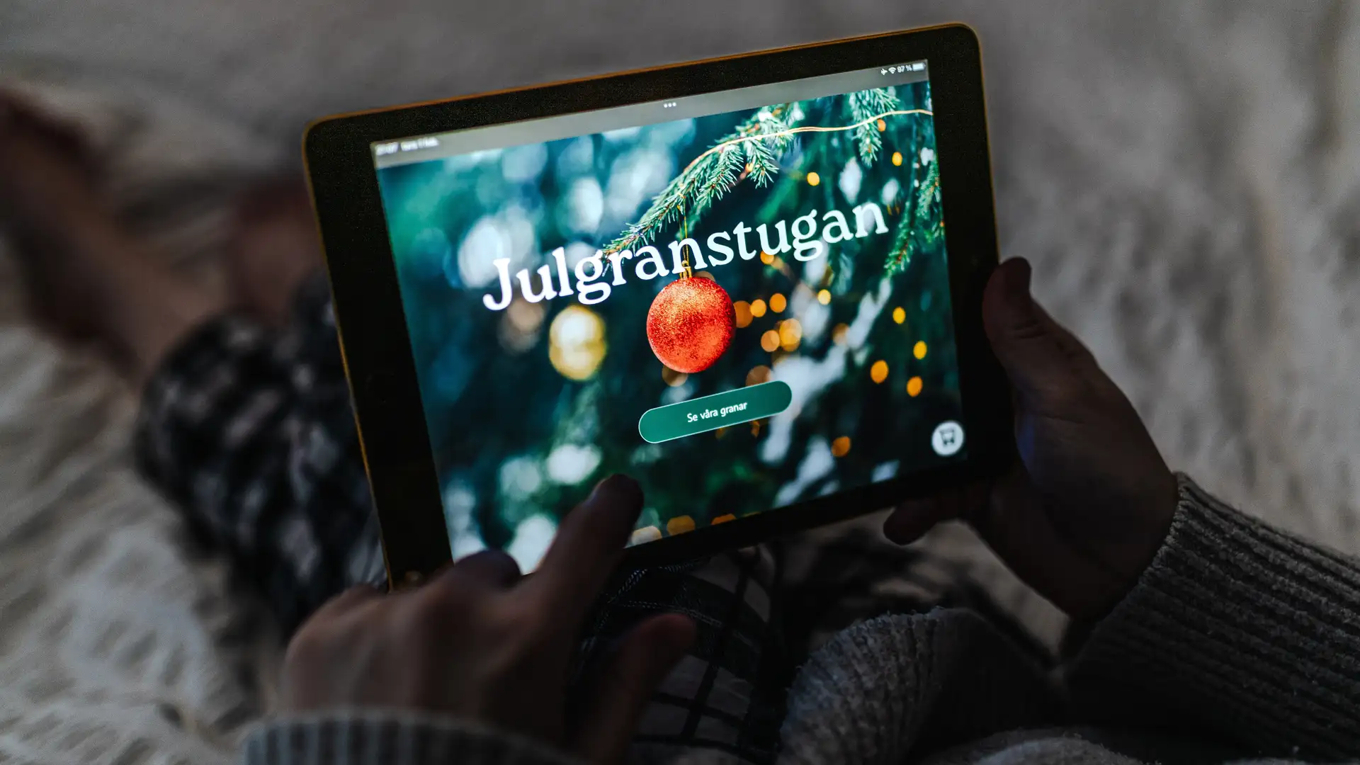 project-julgranstugan